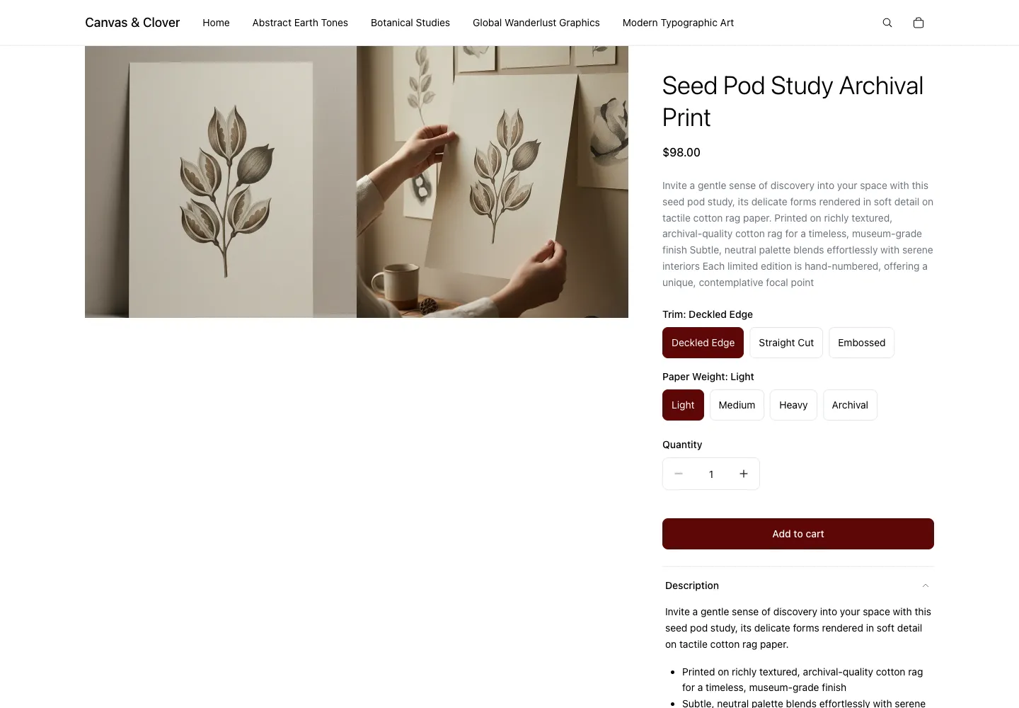 Canvas & Clover’s Seed Pod Study Archival Print product page with Deckled Edge and Light selected, a $98.00 price, and an Add to cart button.